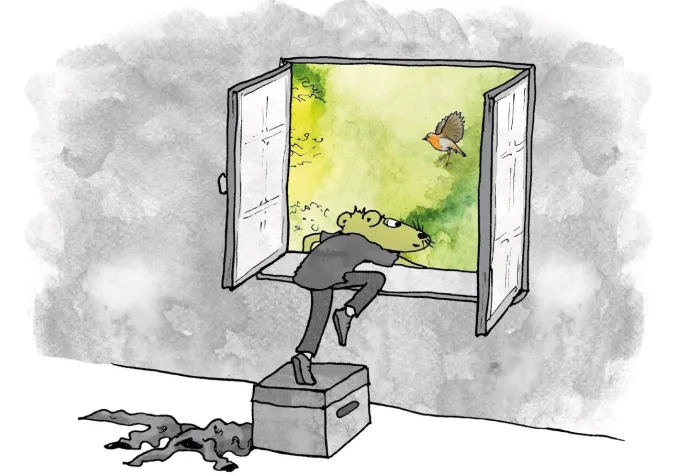 L'Arbre qui menait au ciel - 2026 - ref-editions.ch